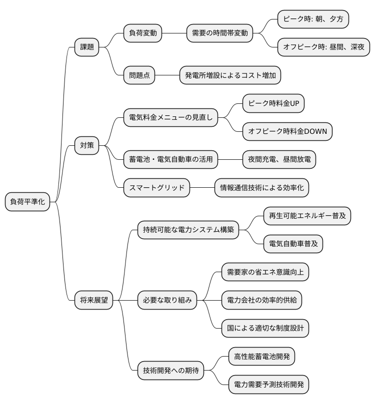 将来への展望