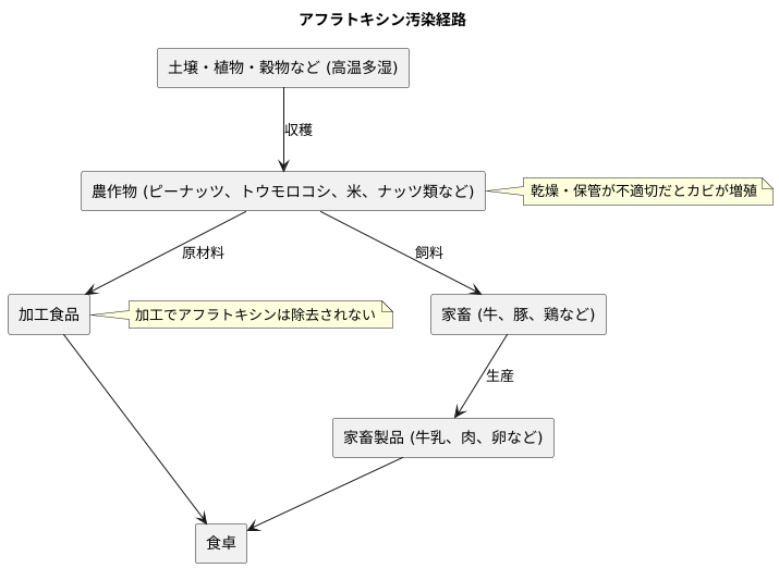 発生源と汚染経路