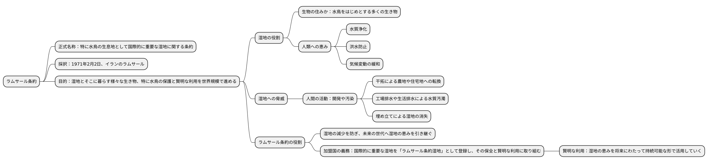 条約の目的と概要