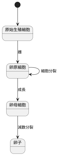 細胞の成長