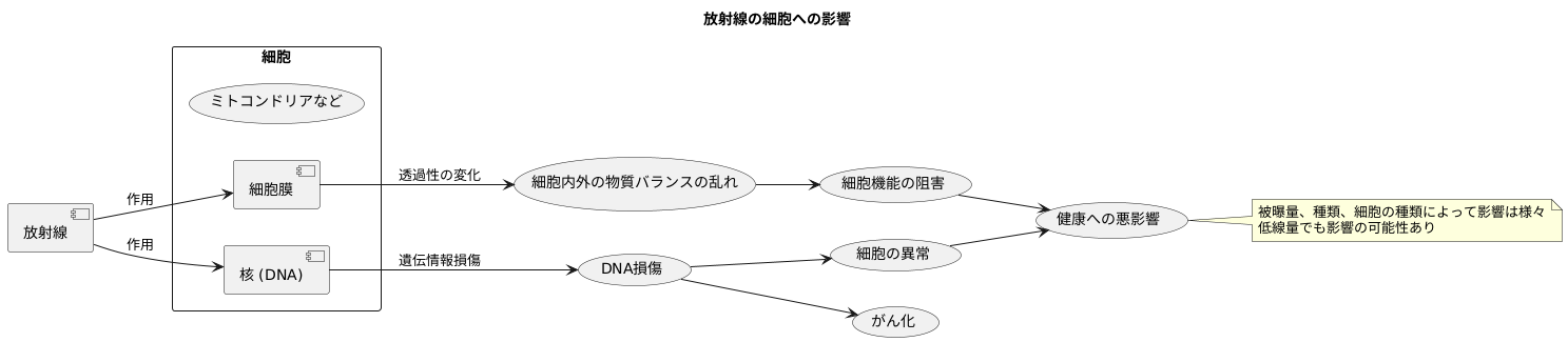 放射線の影響と細胞へのダメージ