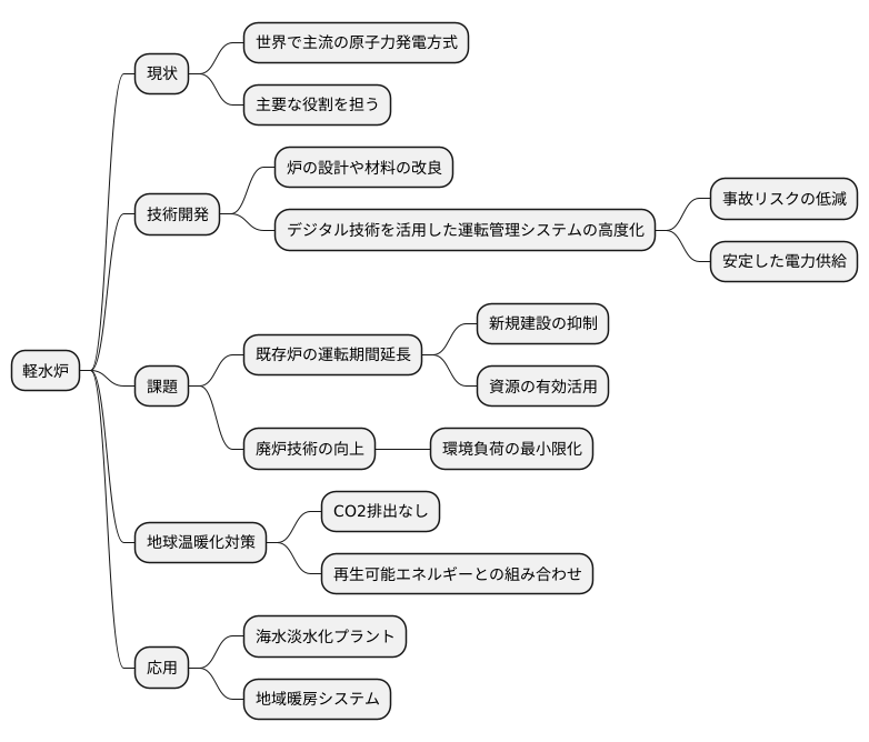 将来への展望