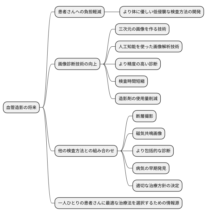将来の展望