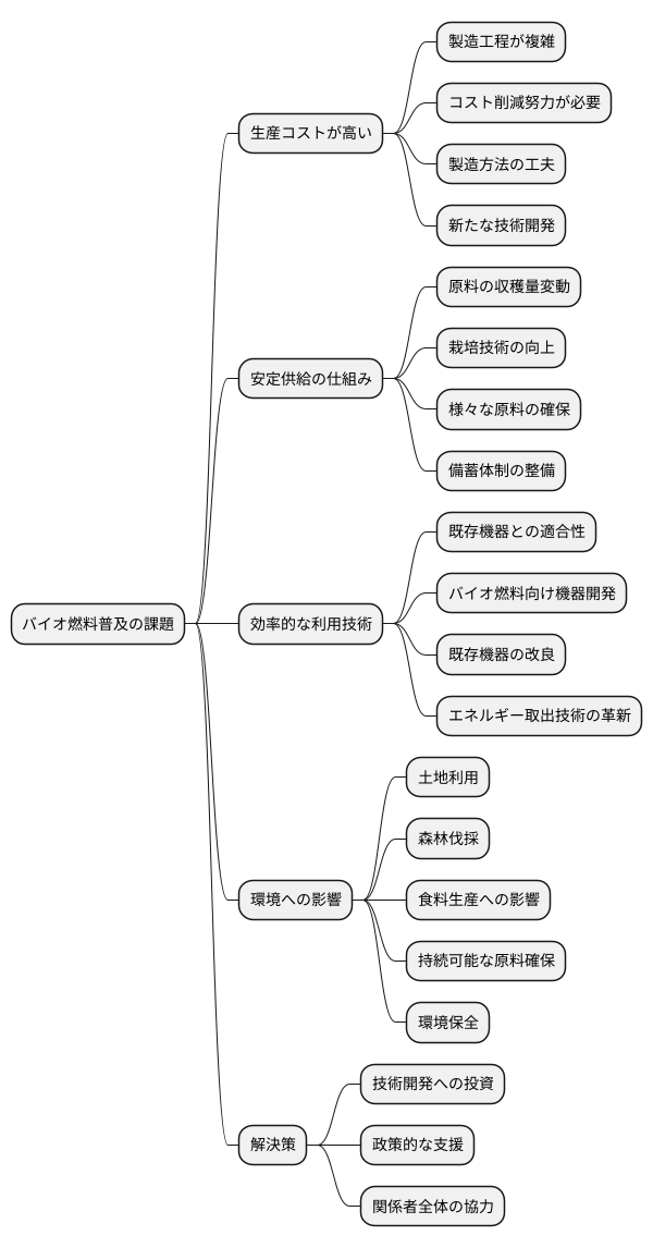 今後の展望