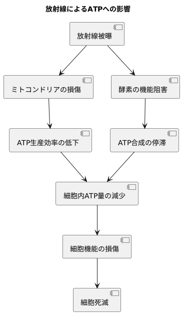 放射線の影響