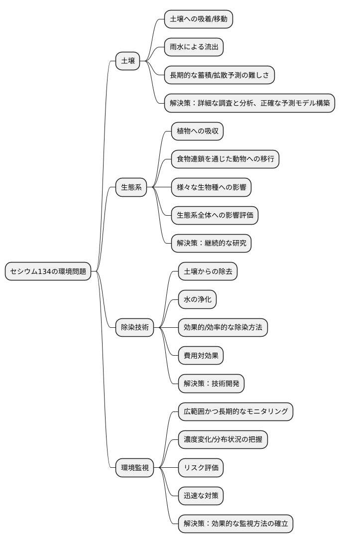 将来の課題