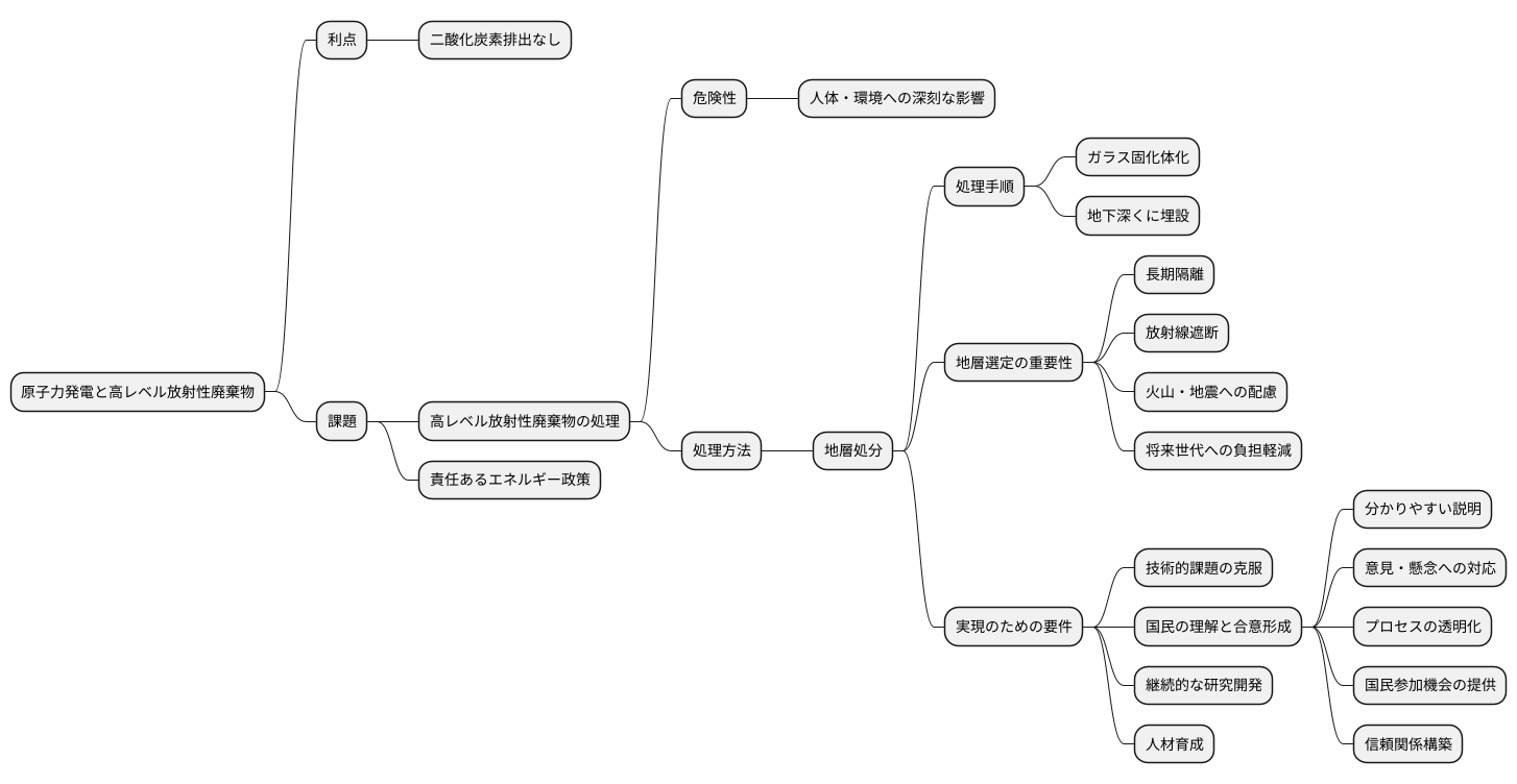 高レベル放射性廃棄物の処理