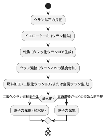 ウランの精製と最終生成物