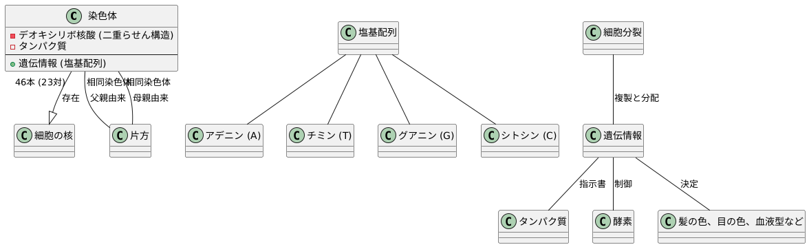 遺伝子の運び手