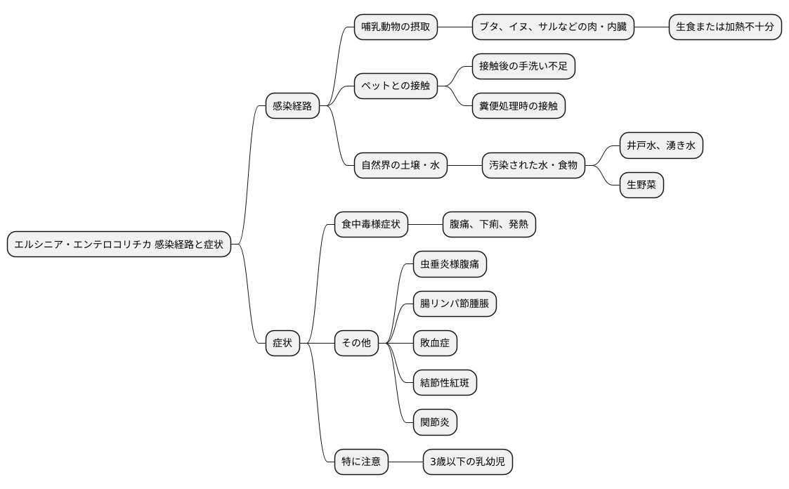 感染経路と症状