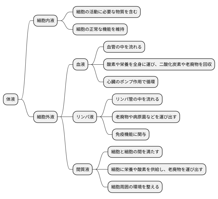 体液とは何か