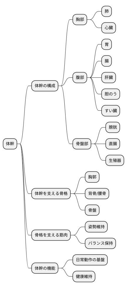体幹部とは