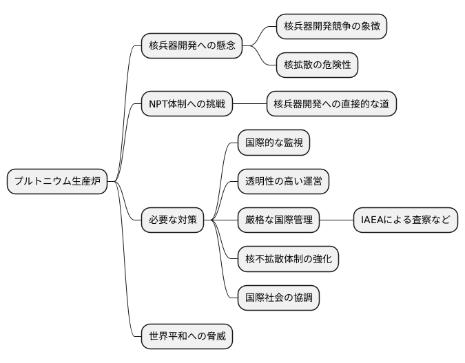 核兵器開発への懸念