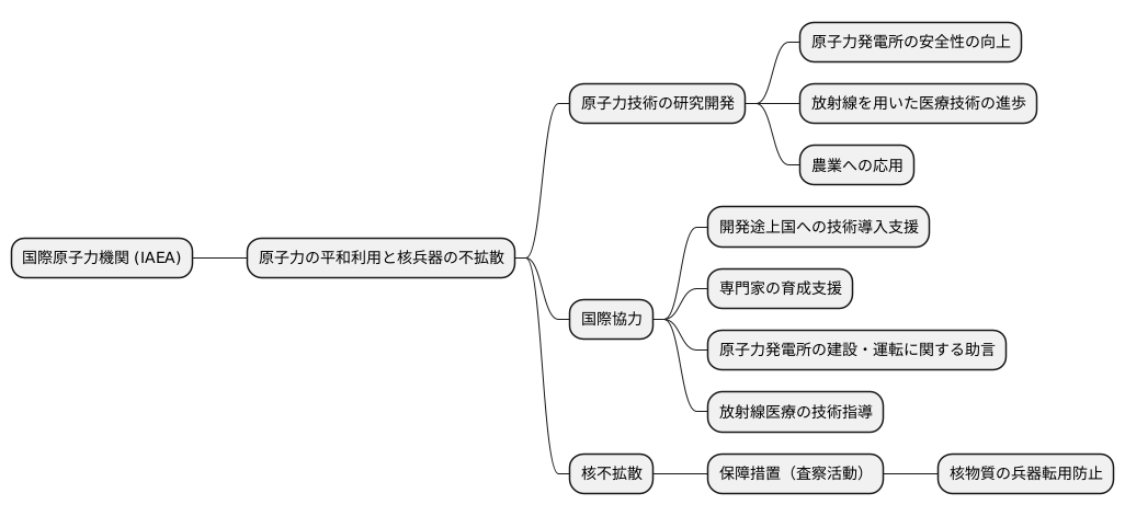 主な活動と役割
