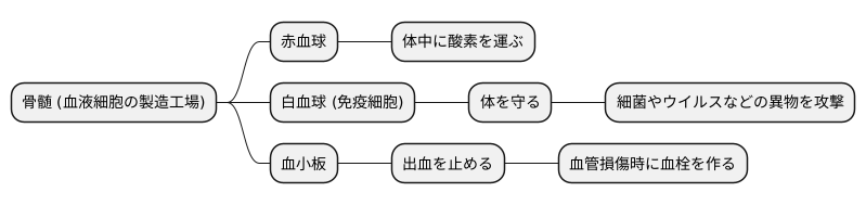 血液細胞の製造工場