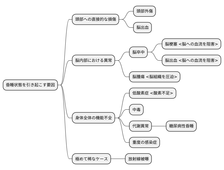 昏睡を引き起こす要因