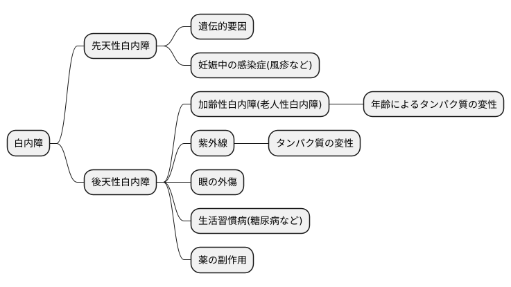 混濁発生の原因