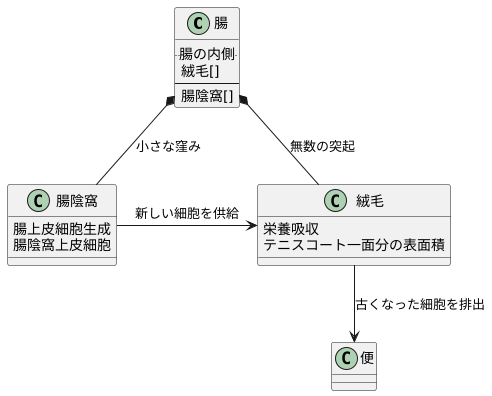 腸の構造と細胞更新
