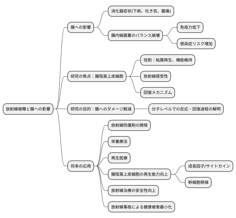 今後の研究への期待