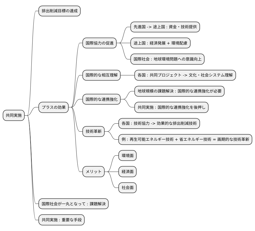 共同実施の意義
