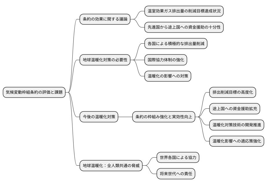 条約の実効性と課題