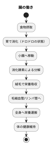 腸の構造