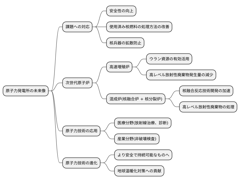 将来の展望