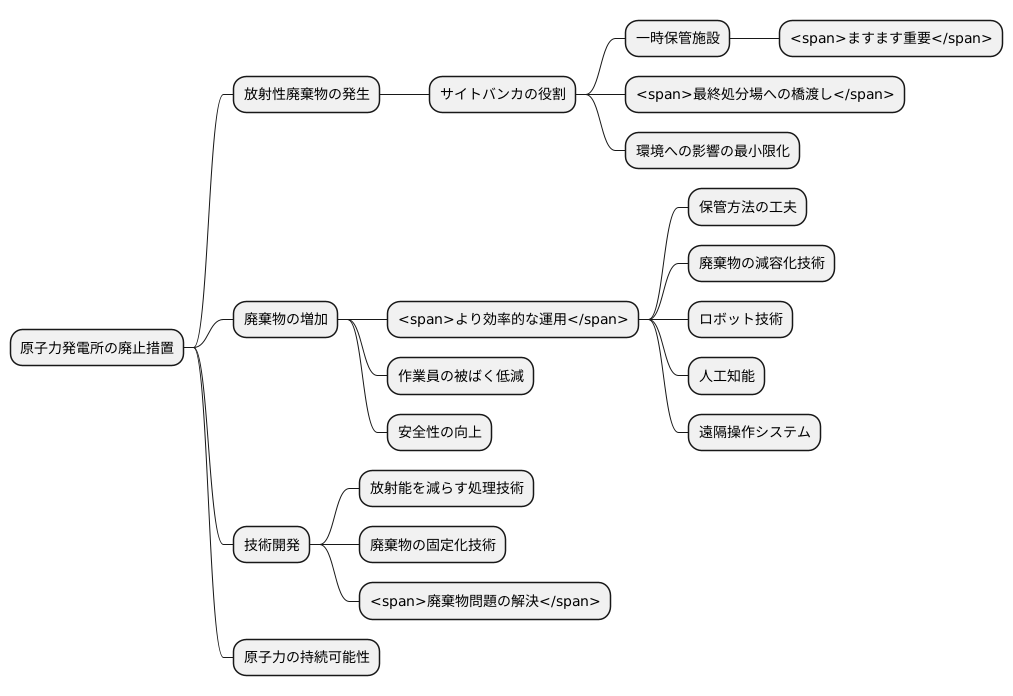 将来の展望
