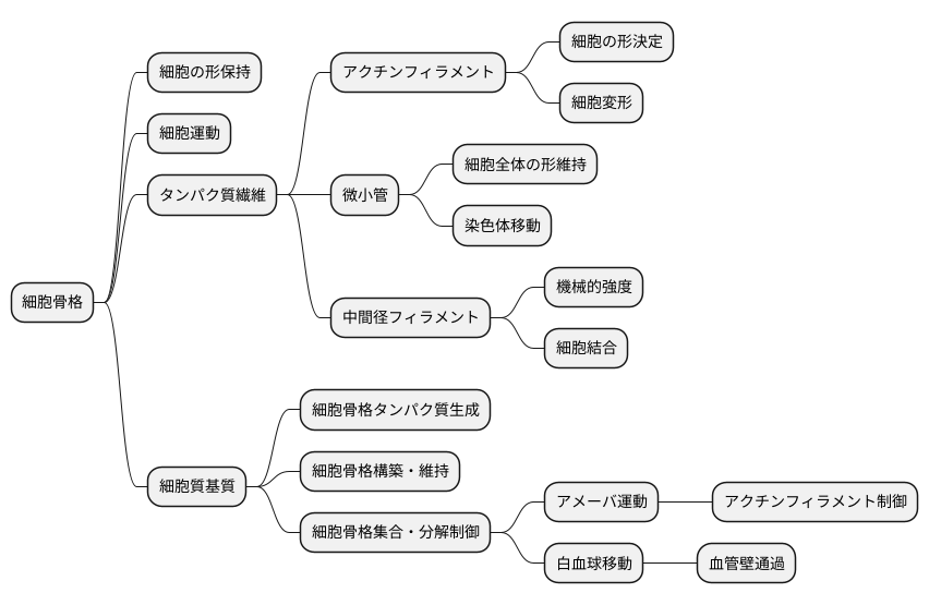 細胞骨格の維持と細胞運動