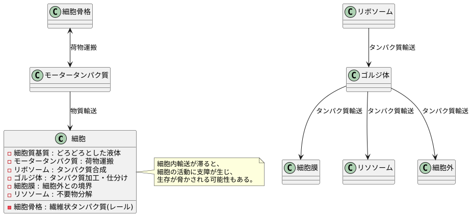 細胞内輸送の役割
