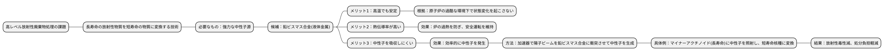 中性子源としての液体金属