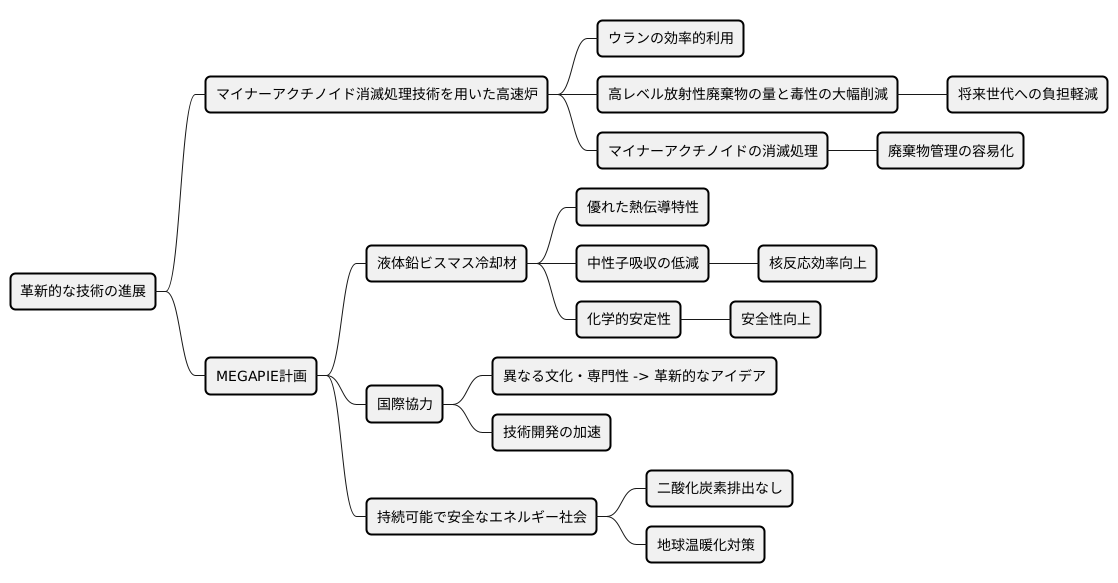 将来への展望