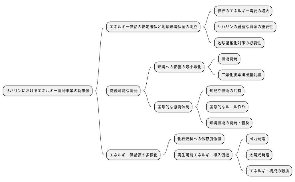 今後の展望