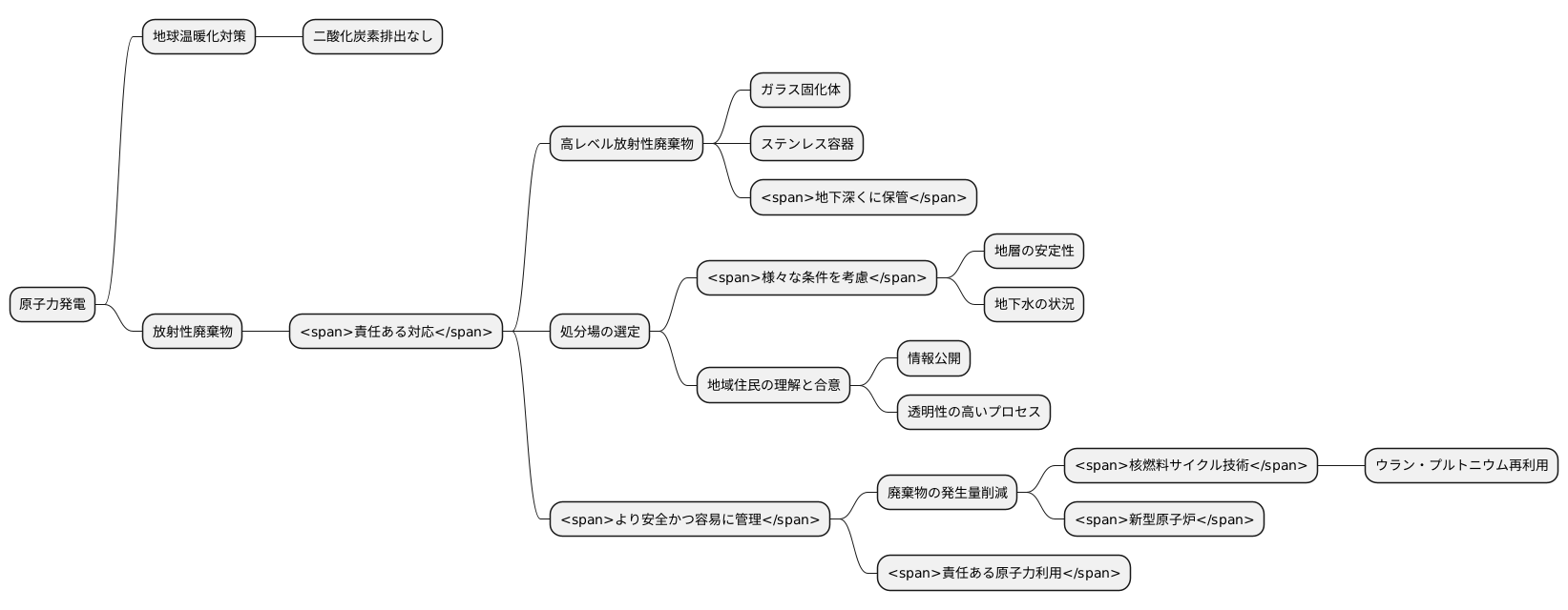 将来への展望