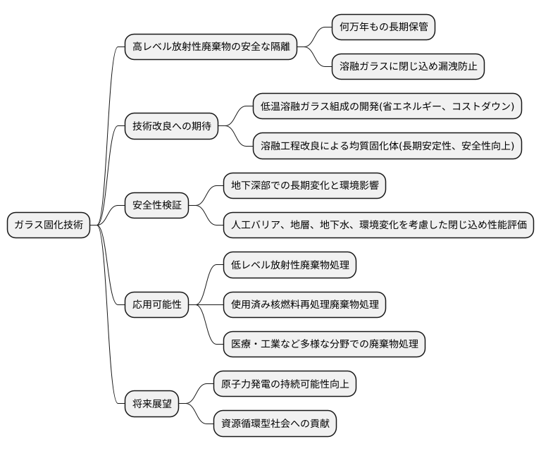 将来の展望