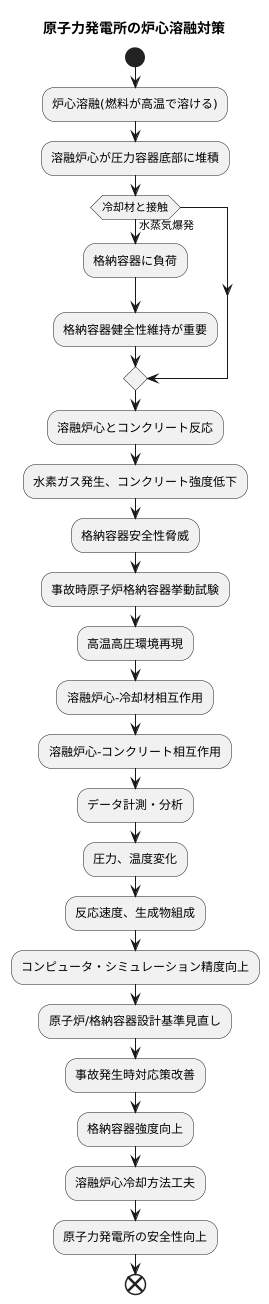 溶融炉心の挙動に関する研究