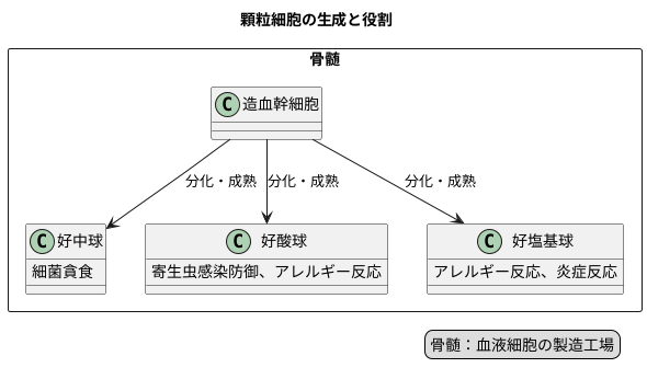 顆粒細胞の起源
