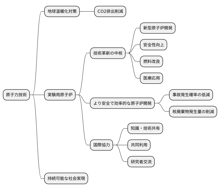 今後の展望