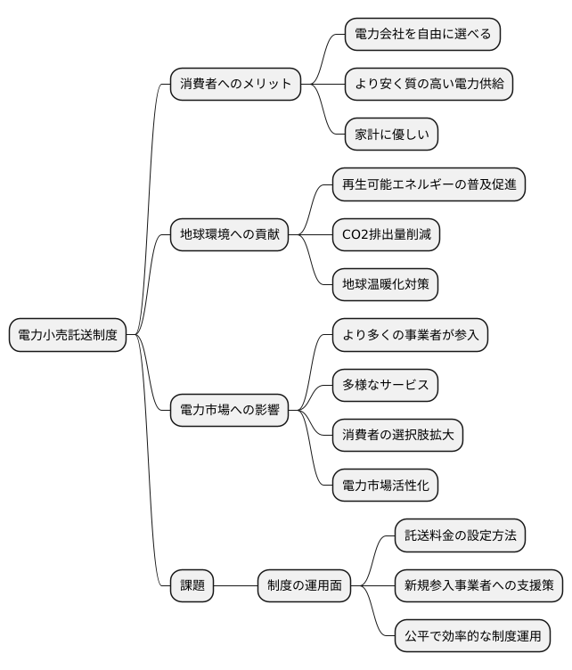 制度のメリットと今後の展望