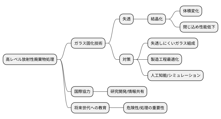 将来への展望