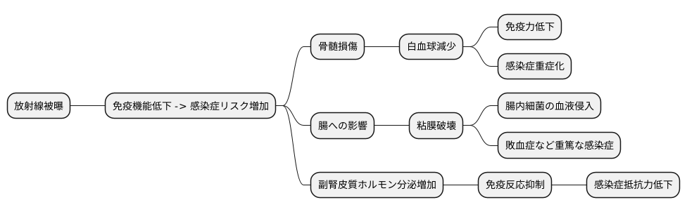 放射線被曝と感染症