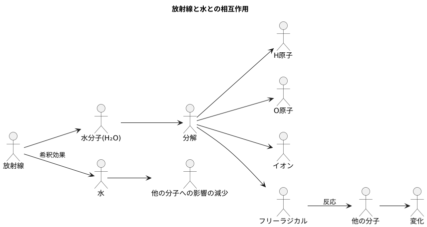 水と放射線の相互作用
