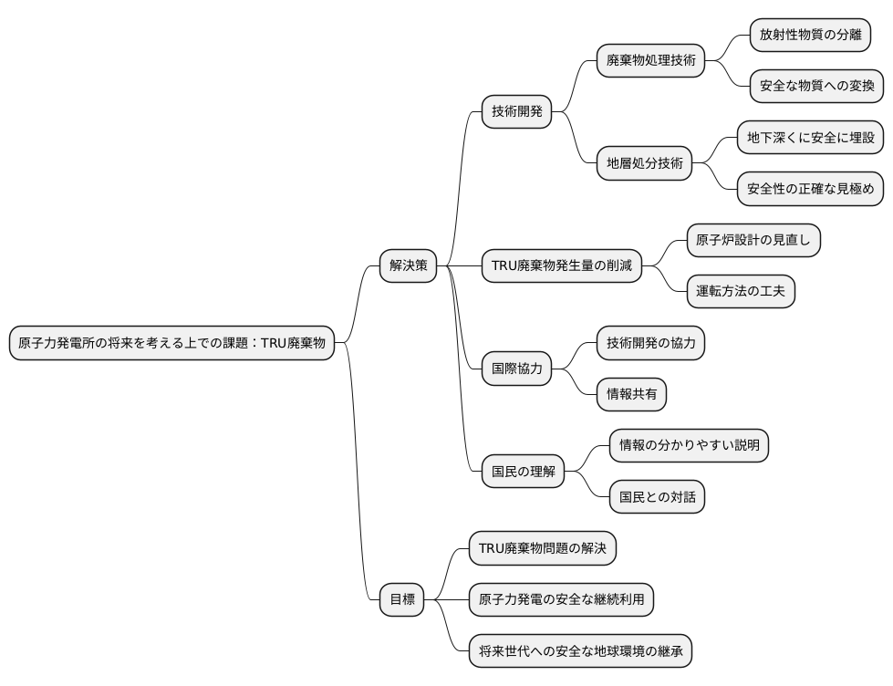 今後の展望と課題