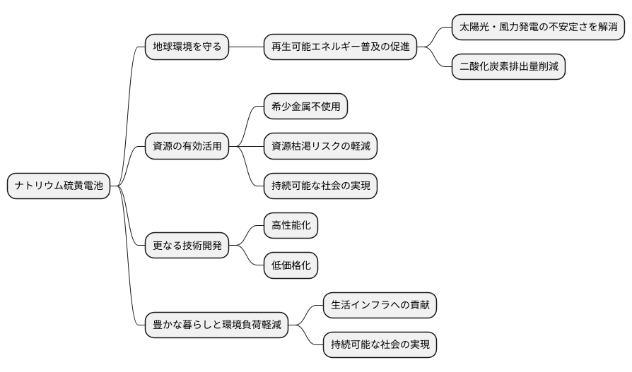 今後の展望