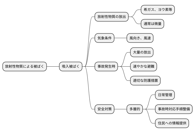 被ばく経路