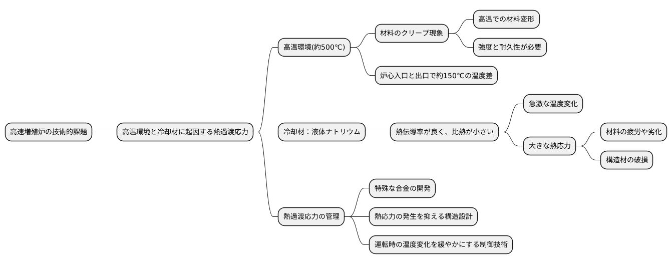 高速炉における課題
