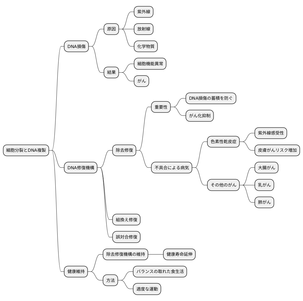 除去修復の不具合と病気