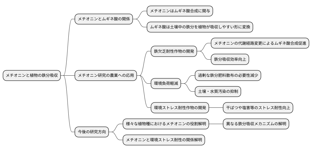 今後の研究への期待