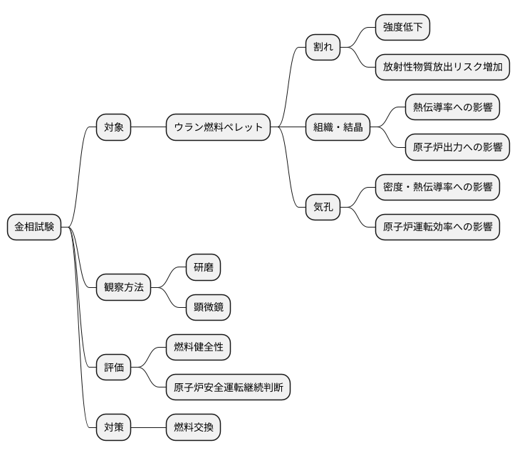 燃料ペレットの検査